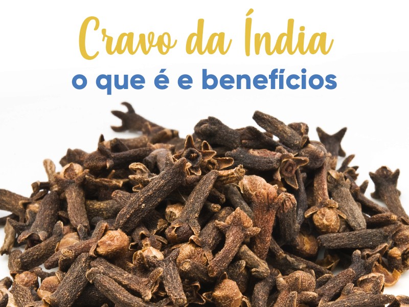 Cravo da ndia: o que  e benefcios